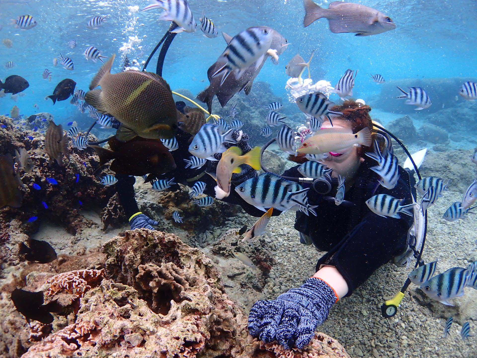 沖繩青之洞窟潛水．My Diving，深潛、浮潛、美人魚體驗，海邊玩翻天！