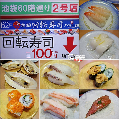 東京池袋美食．ダイマル水産 魚卸回転寿司，超值迴轉壽司新鮮可口 @愛吃鬼芸芸
