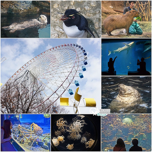 大阪景點．海遊館、天保山摩天輪 @愛吃鬼芸芸