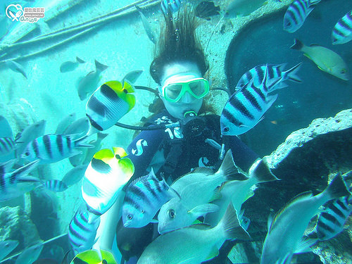 關島旅遊．JNS DIVERS GUAM，揹氣瓶潛水初體驗！ @愛吃鬼芸芸