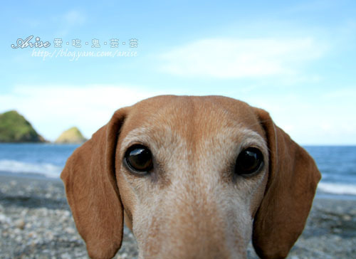 搭著國光趣旅行~宜蘭三天兩夜小旅行(下) 羅東→蘇澳→南方澳→台北 @愛吃鬼芸芸