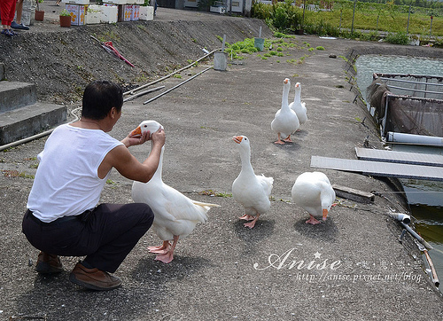 宜蘭美食．漁樂釣魚碳烤休閒中心 @愛吃鬼芸芸