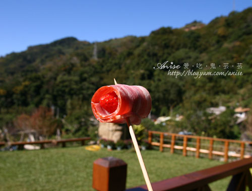 99.12.28 土牧驛、巧克力雲莊、桃群客家菜 @愛吃鬼芸芸