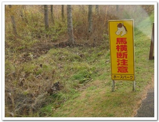 北海道餵豬泡湯之旅(6)&#8211;釧路市動物園 @愛吃鬼芸芸