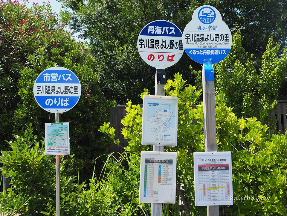 海之京都：你所不知道的京都(四天三夜行程總整理含交通)高雄川床料理、伊根舟屋、琴引濱鳴沙