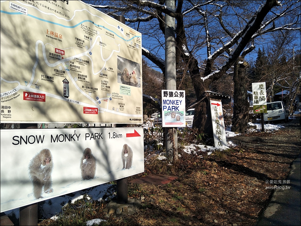 地獄谷野猿公苑雪猴一日遊( 東京↔長野 )，再訪終於看到猴子泡湯啦！