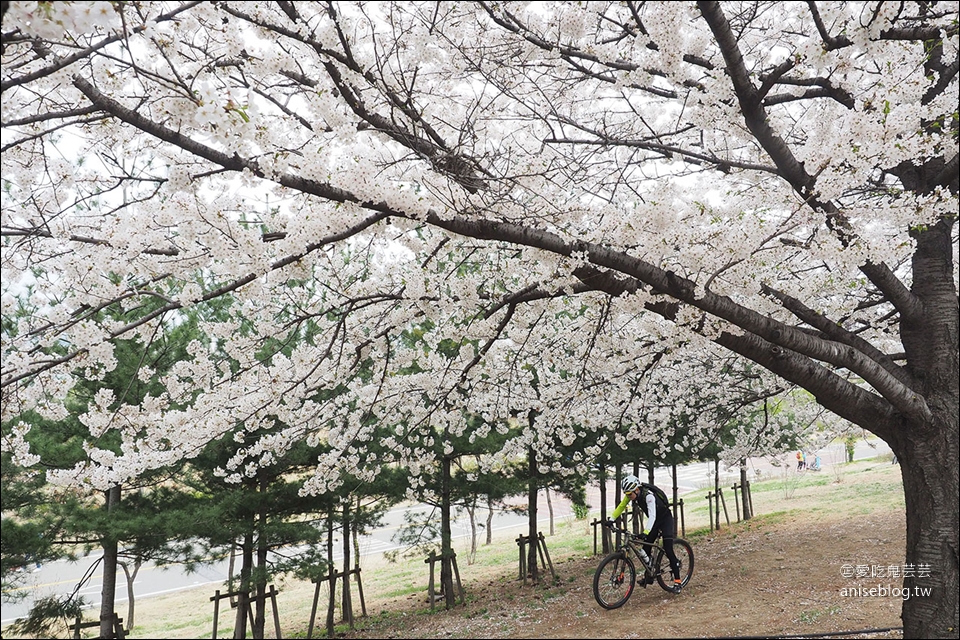 汝矣島高樓層餐廳  | 63 大廈漫步雲中餐廳 Walking on the Cloud