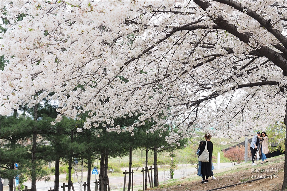 汝矣島高樓層餐廳  | 63 大廈漫步雲中餐廳 Walking on the Cloud