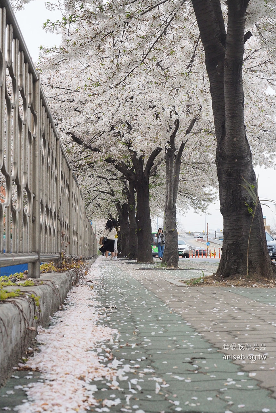 汝矣島高樓層餐廳  | 63 大廈漫步雲中餐廳 Walking on the Cloud