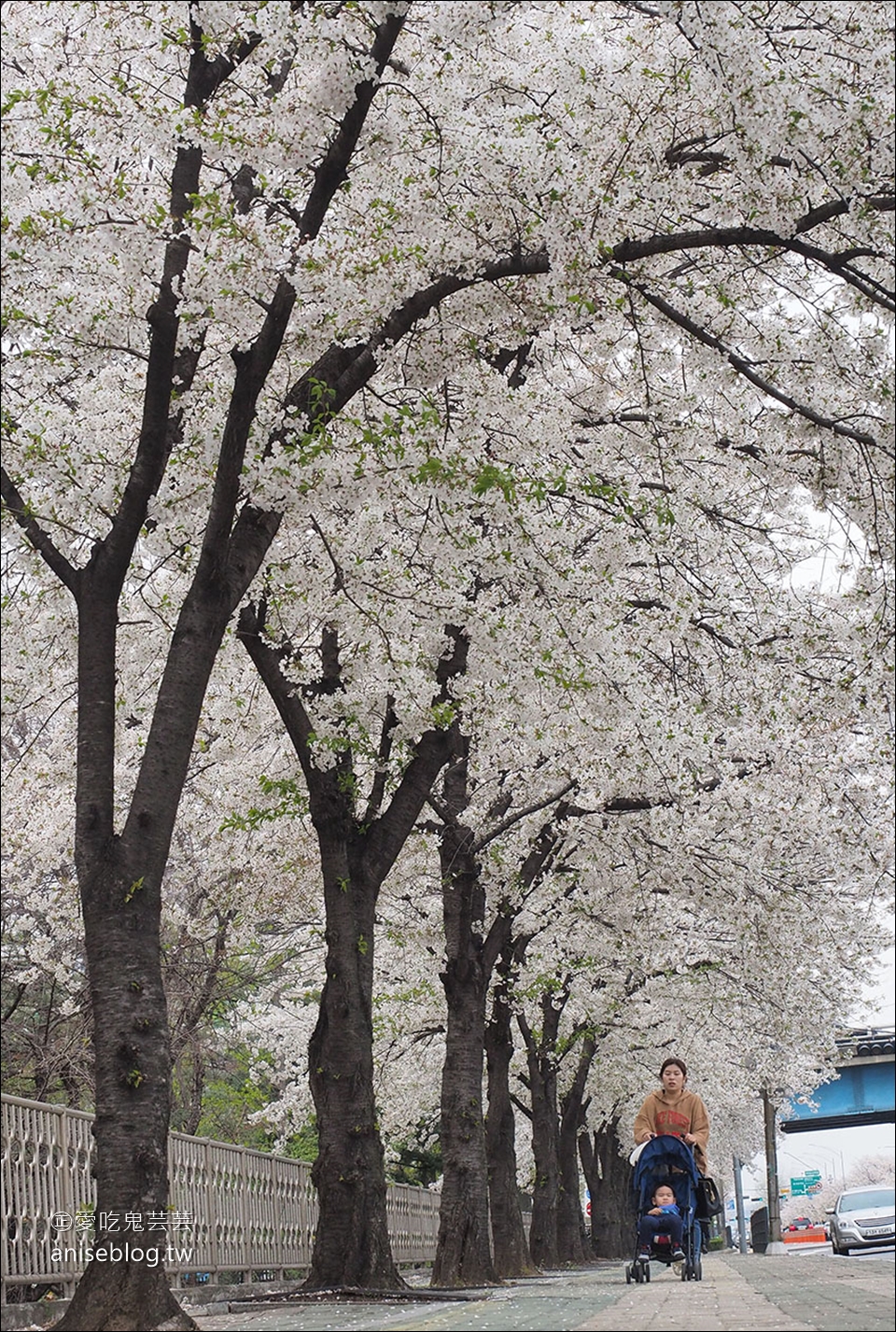 汝矣島高樓層餐廳  | 63 大廈漫步雲中餐廳 Walking on the Cloud