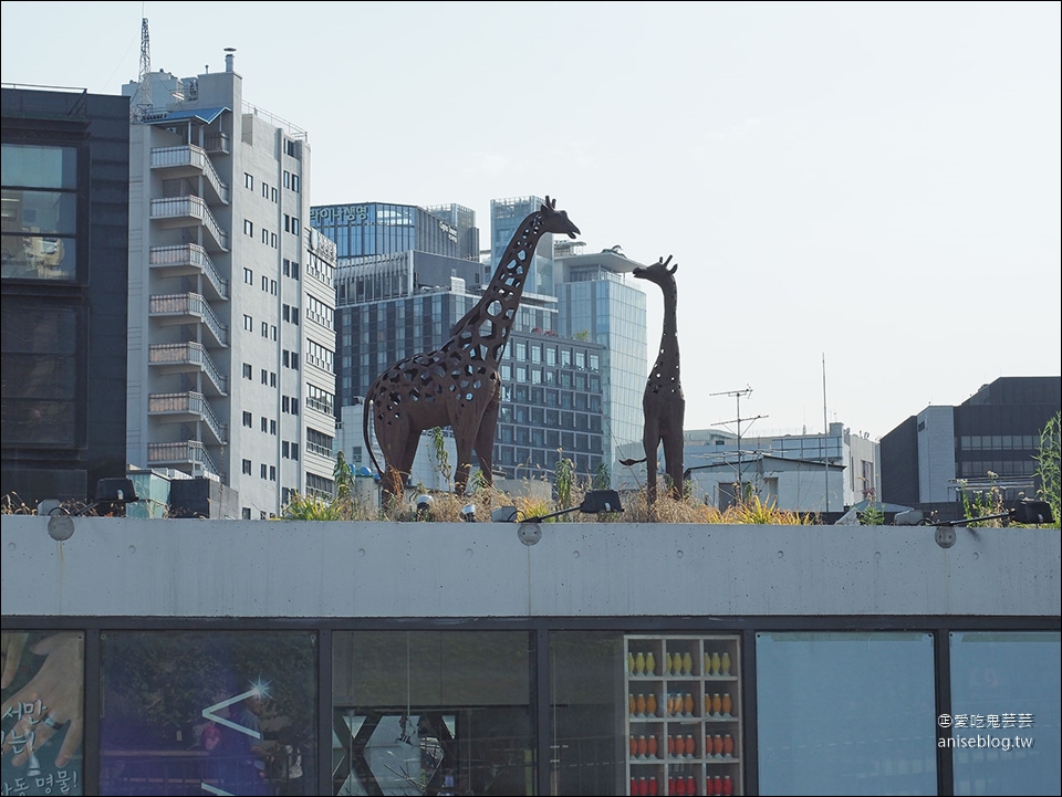 首爾最愛逛 |  人人商場  Ssamziegil Mall 인사동쌈지길