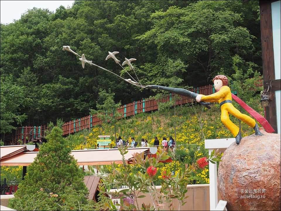 夢幻小法國村+浪漫南怡島+風景秀麗railroad一日遊，首爾經典行程一天搞定！