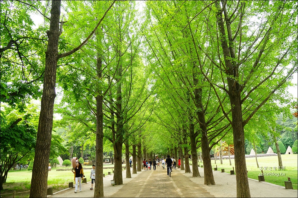 夢幻小法國村+浪漫南怡島+風景秀麗railroad一日遊，首爾經典行程一天搞定！