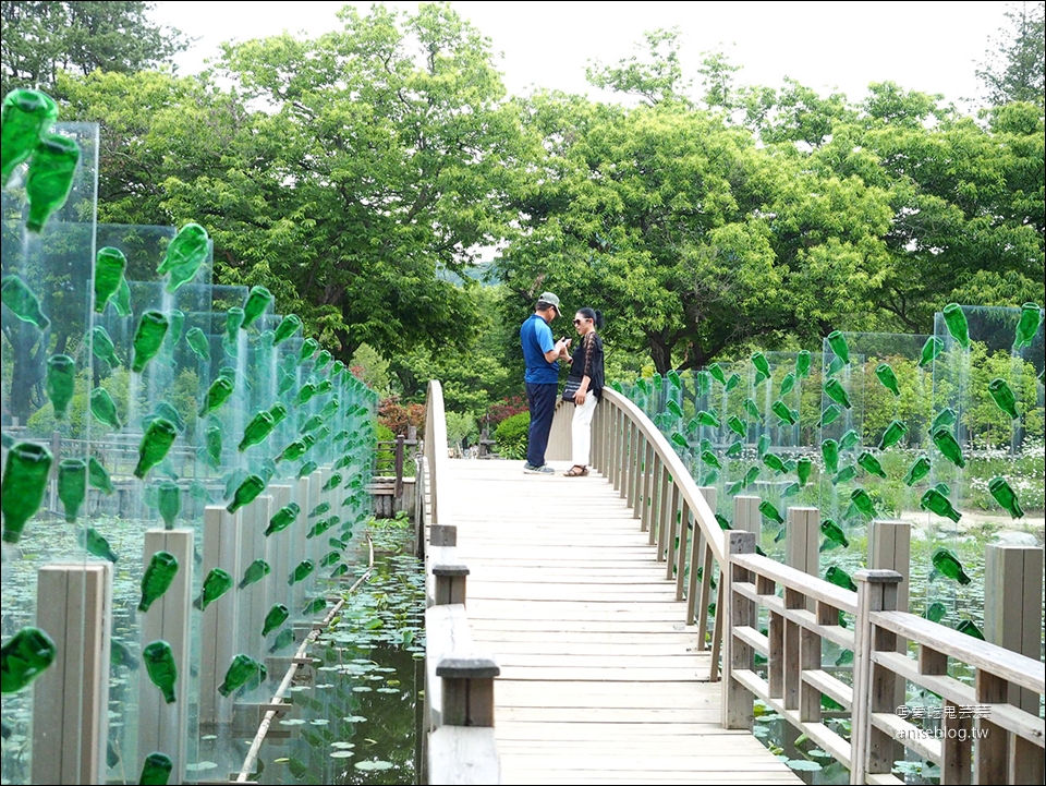 夢幻小法國村+浪漫南怡島+風景秀麗railroad一日遊，首爾經典行程一天搞定！