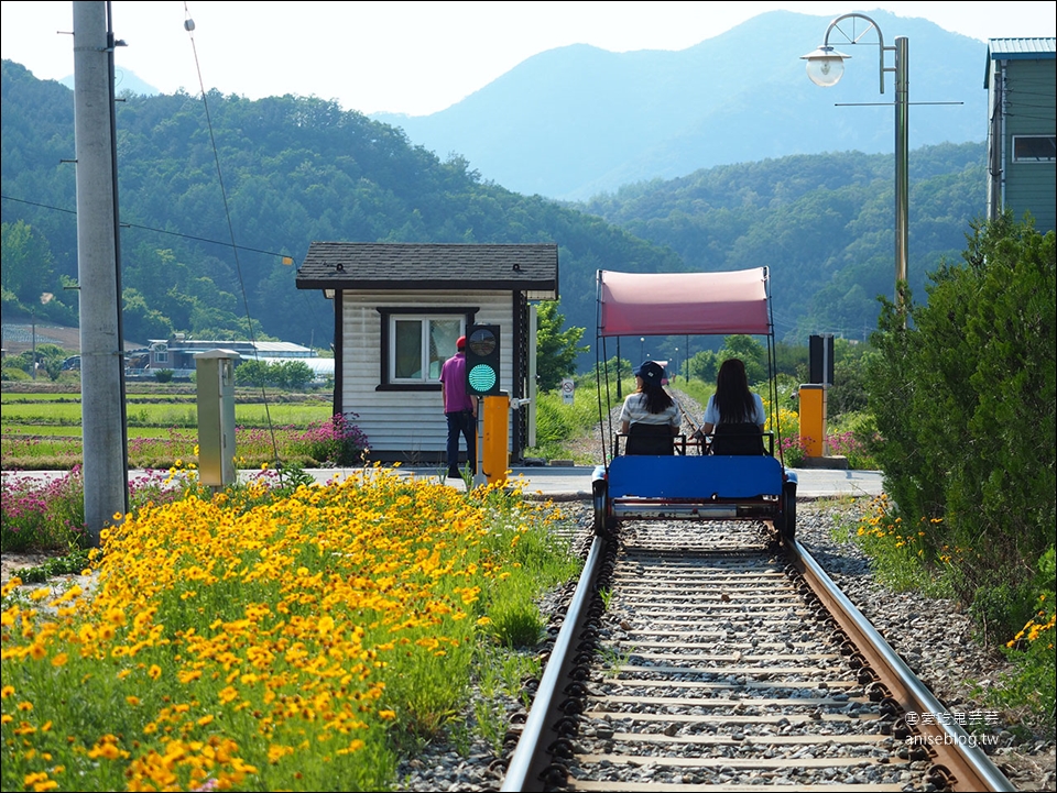 夢幻小法國村+浪漫南怡島+風景秀麗railroad一日遊，首爾經典行程一天搞定！