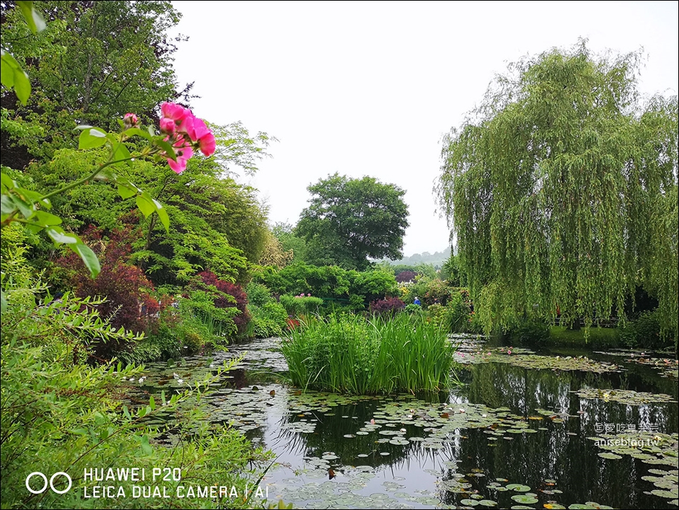 莫內花園(含交通)，走進莫內的畫作-睡蓮池裡面 (圖多)