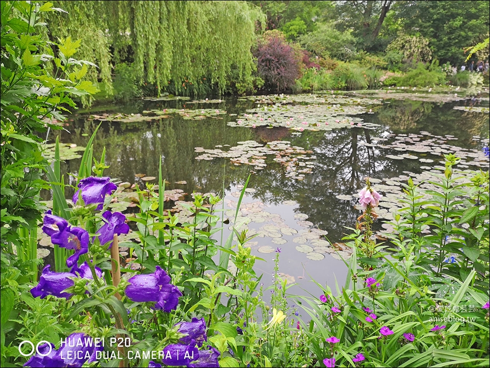 莫內花園(含交通)，走進莫內的畫作-睡蓮池裡面 (圖多)