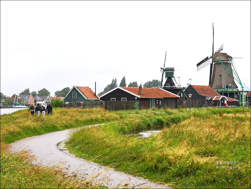 荷蘭風車村Zaanse(贊丹)，狂風暴雨不怕不怕，起司照吃、熱巧克力照喝