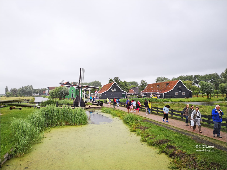 荷蘭風車村Zaanse(贊丹)，狂風暴雨不怕不怕，起司照吃、熱巧克力照喝