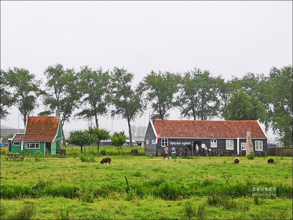 荷蘭風車村Zaanse(贊丹)，狂風暴雨不怕不怕，起司照吃、熱巧克力照喝