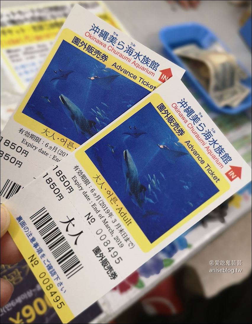 沖繩的美麗海水族館，超大鯨鯊池好療癒！