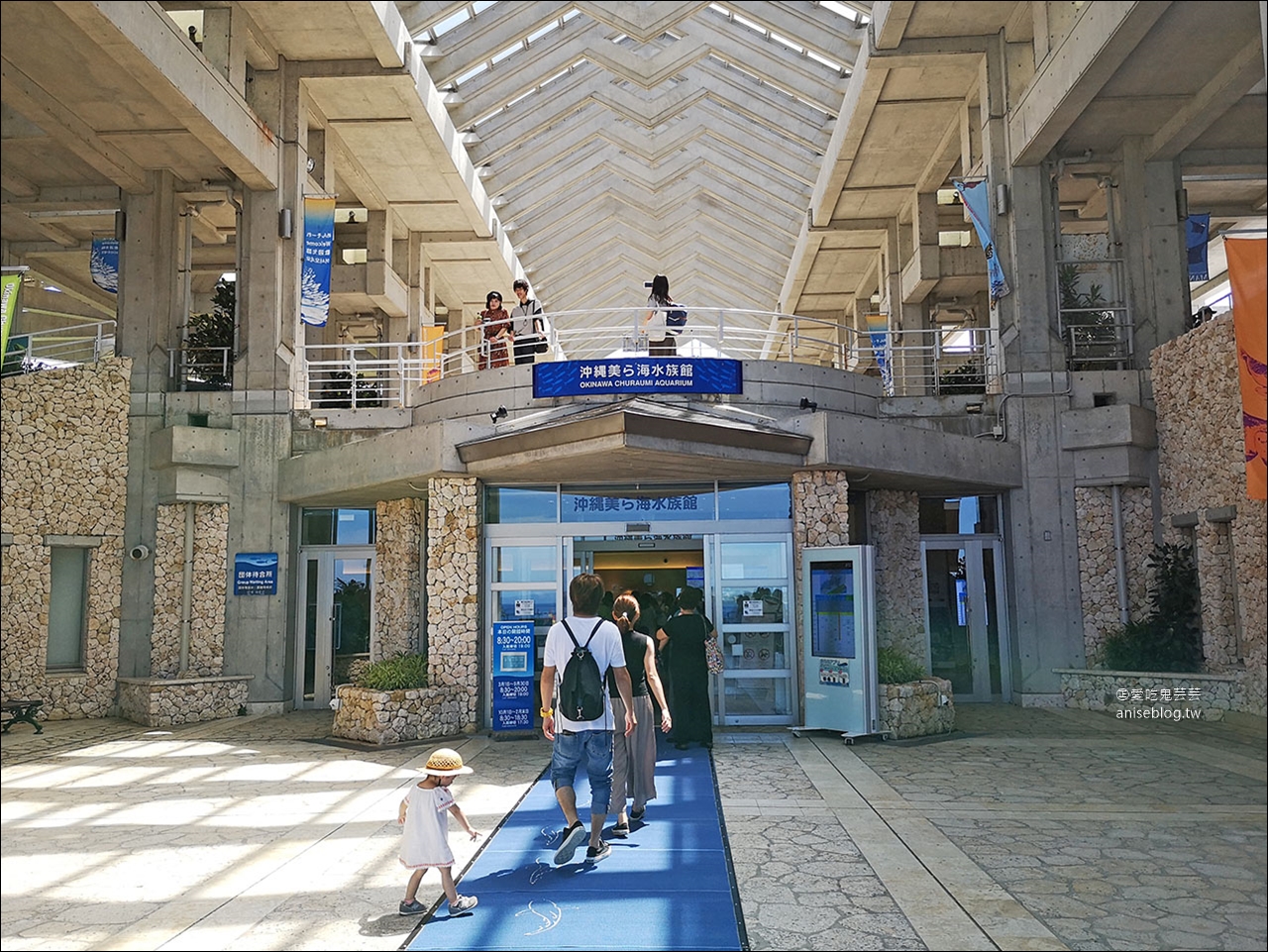 沖繩的美麗海水族館，超大鯨鯊池好療癒！