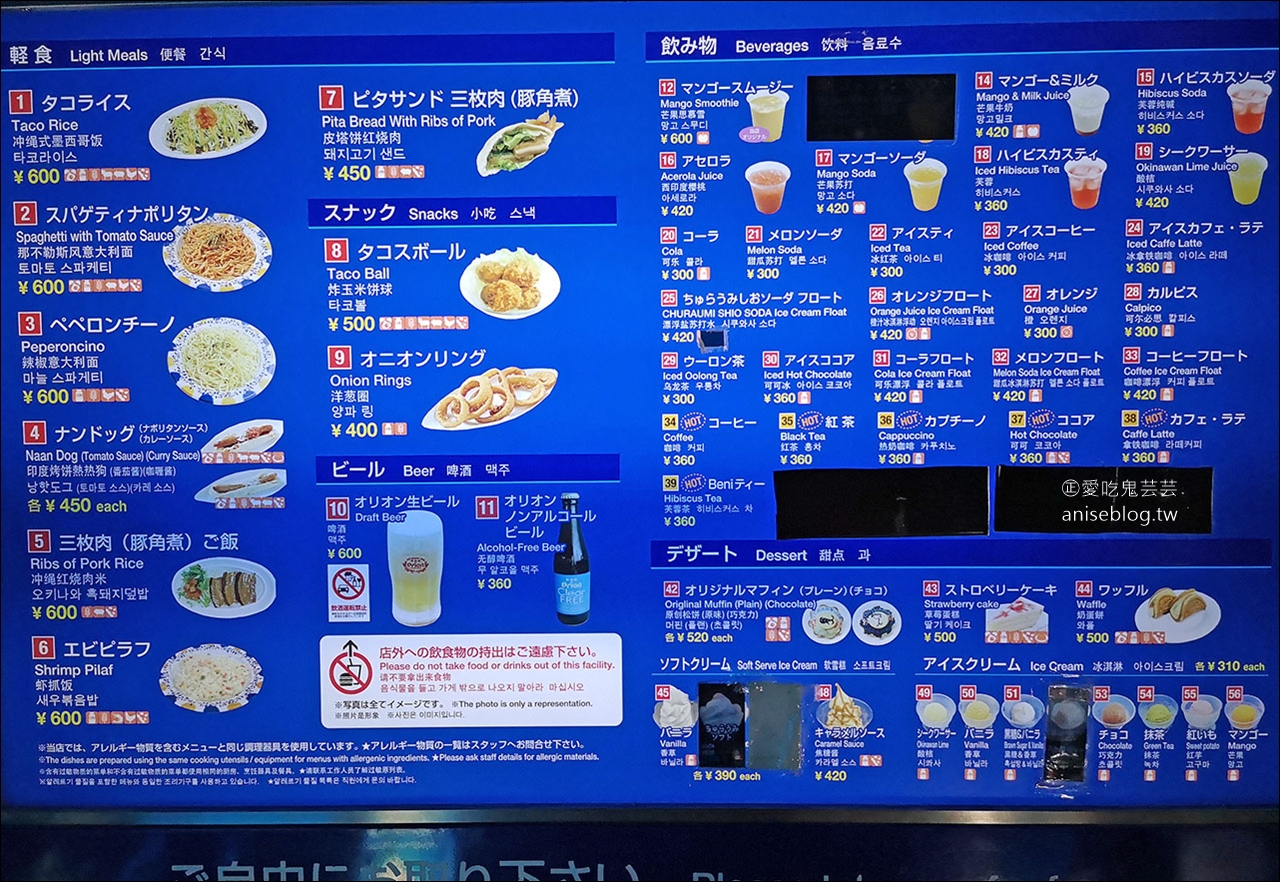 沖繩的美麗海水族館，超大鯨鯊池好療癒！