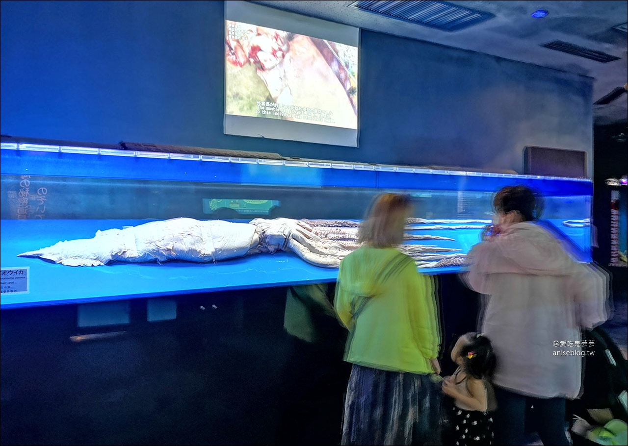 沖繩的美麗海水族館，超大鯨鯊池好療癒！