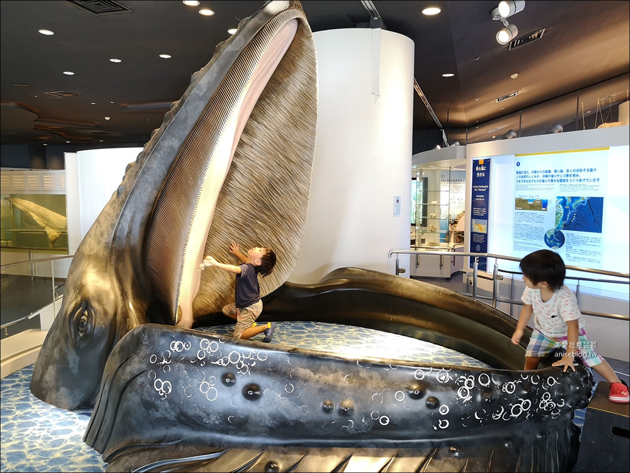 沖繩的美麗海水族館，超大鯨鯊池好療癒！