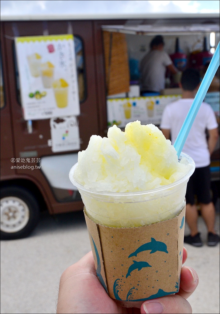 沖繩的美麗海水族館，超大鯨鯊池好療癒！