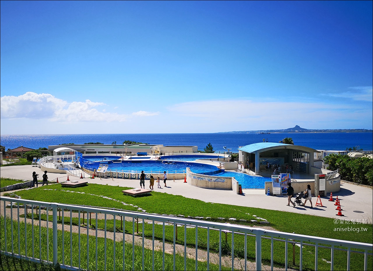 沖繩的美麗海水族館，超大鯨鯊池好療癒！