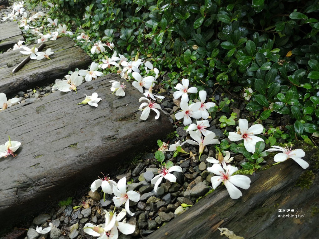 嘉義景點 | 幸福山丘，飄著烘焙香氣的可愛山丘 (聽說油桐花季節更厲害！)