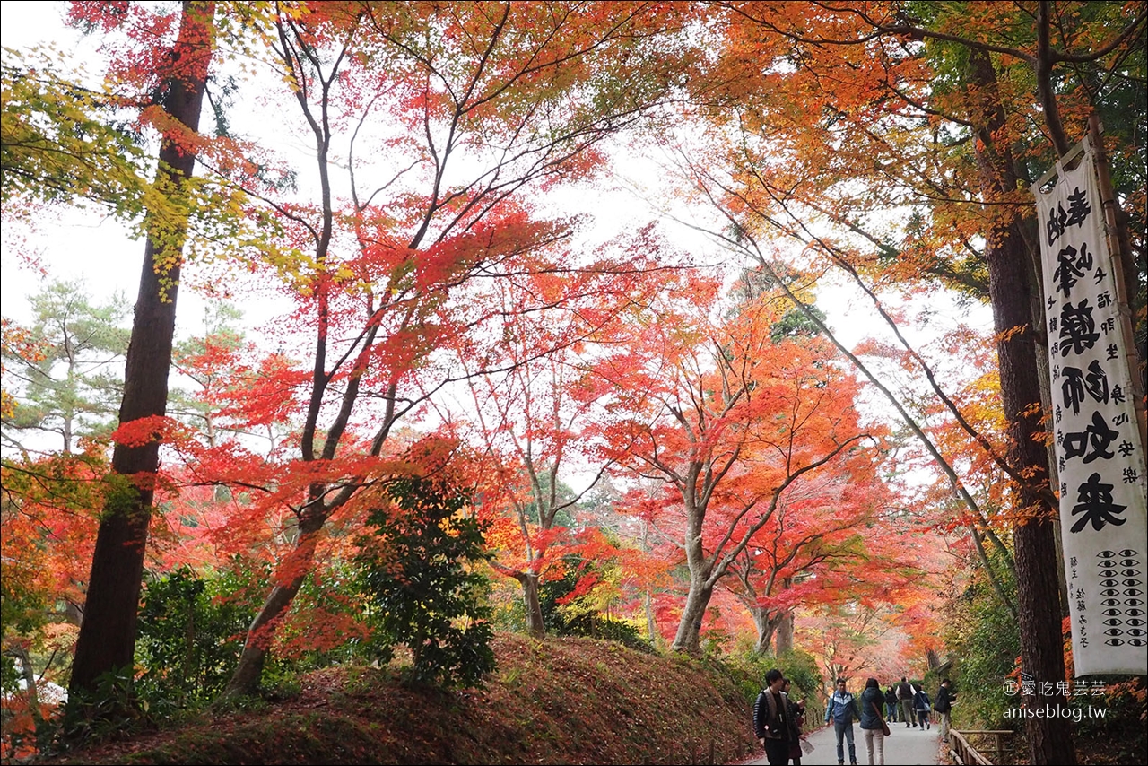 東北秋之旅｜中尊寺散策、前澤牛燒肉