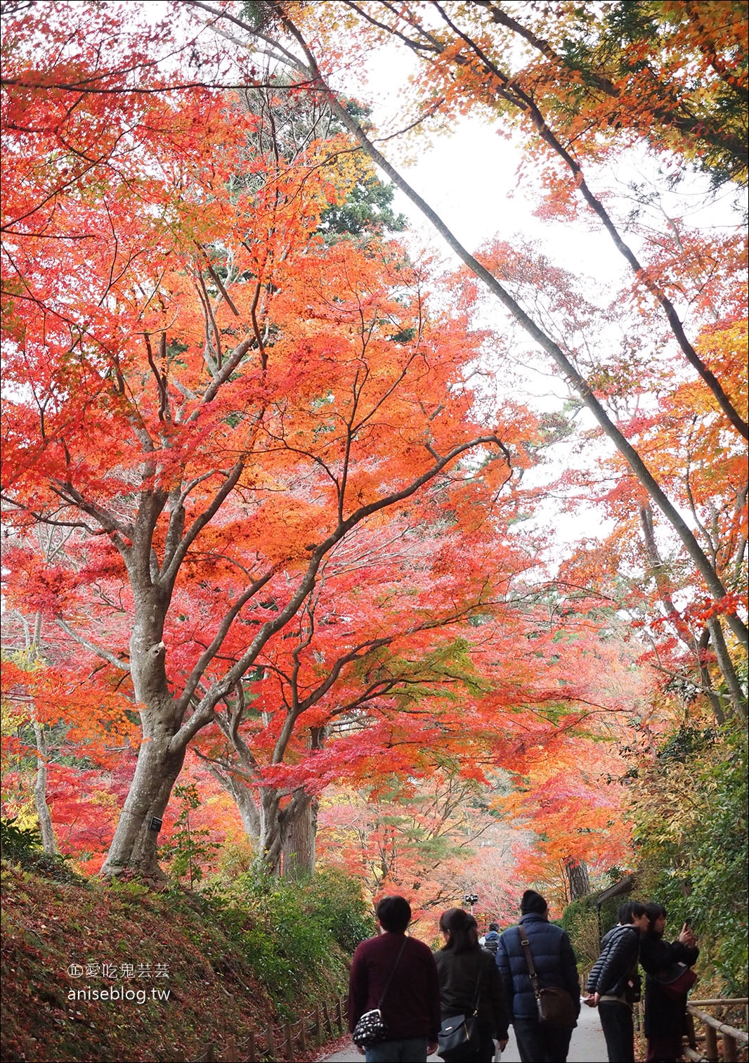 東北秋之旅｜中尊寺散策、前澤牛燒肉