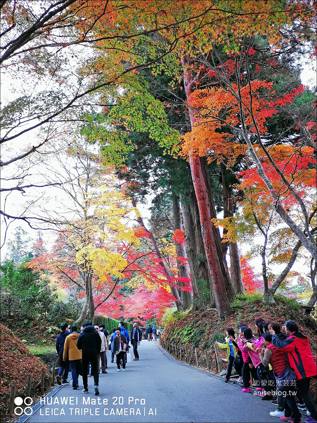 東北秋之旅｜中尊寺散策、前澤牛燒肉