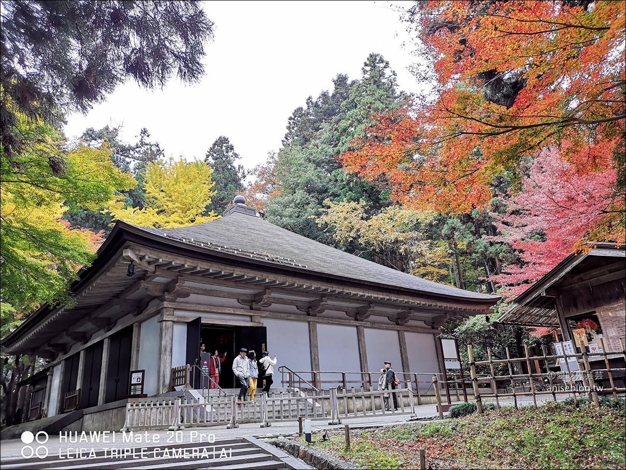 東北秋之旅｜中尊寺散策、前澤牛燒肉