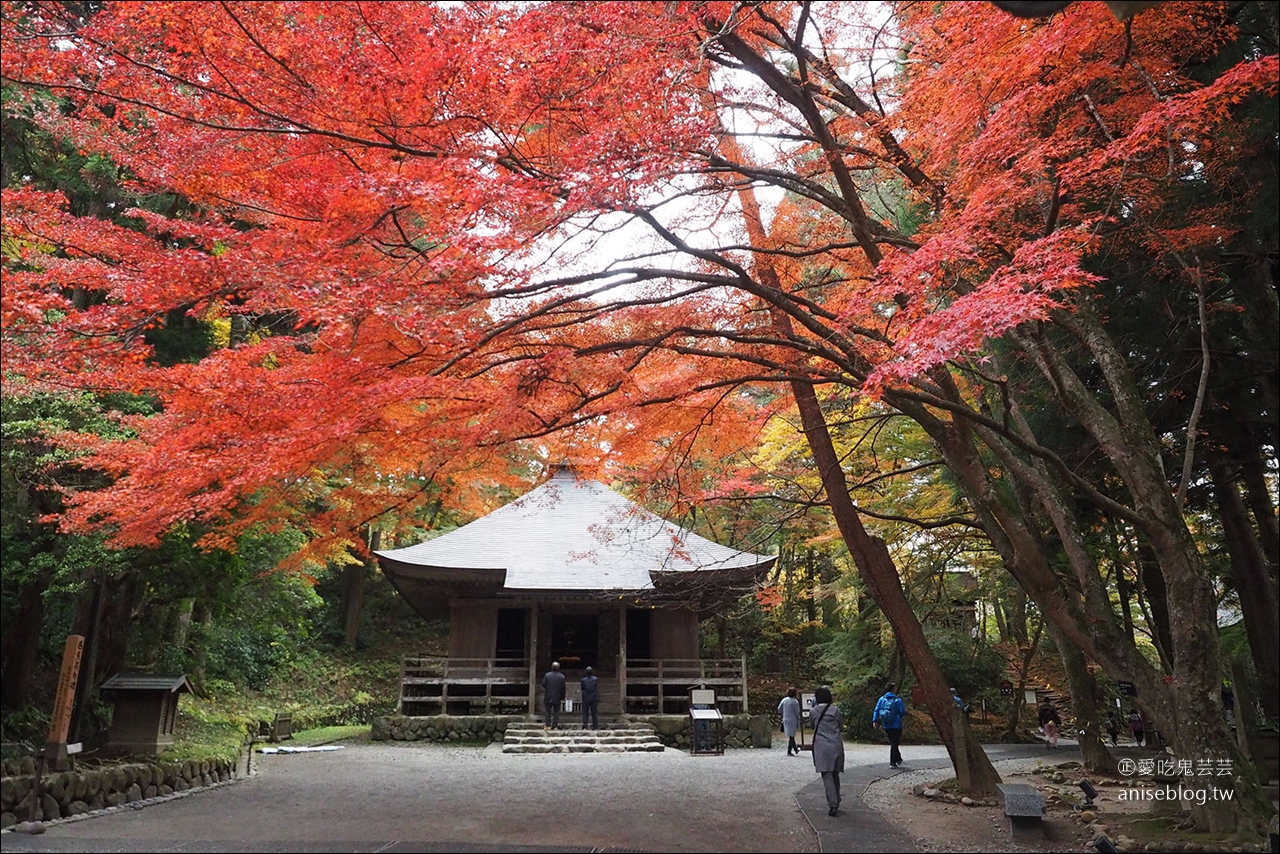 東北秋之旅｜中尊寺散策、前澤牛燒肉 @愛吃鬼芸芸