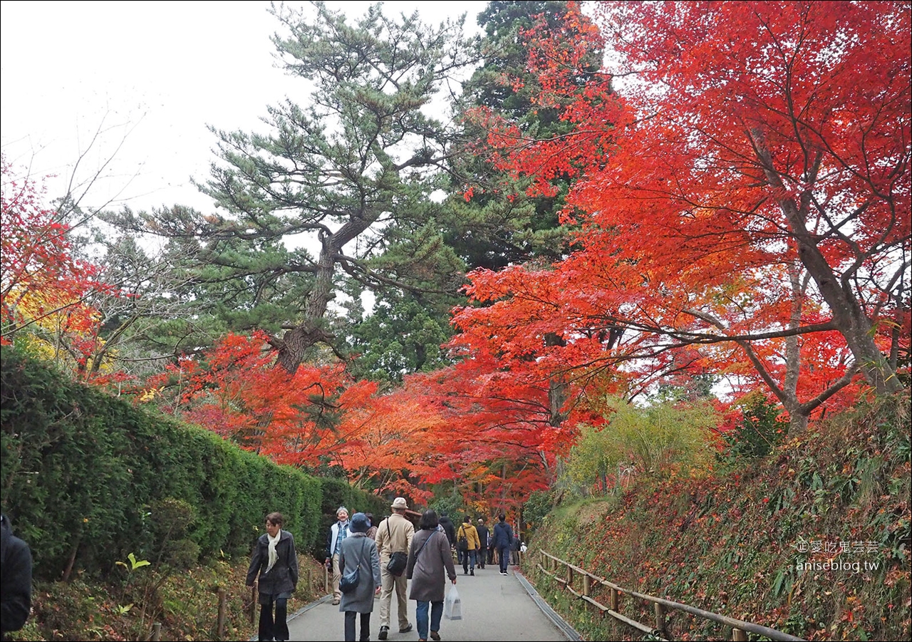 東北秋之旅｜中尊寺散策、前澤牛燒肉