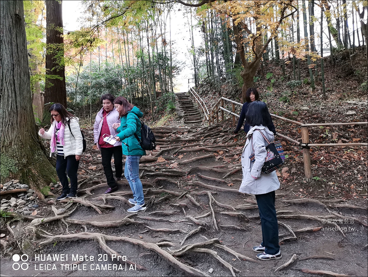 東北秋之旅｜中尊寺散策、前澤牛燒肉