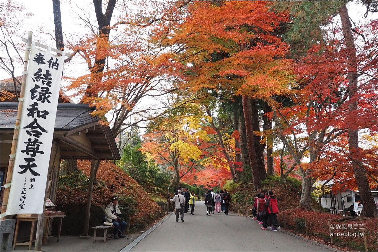 東北秋之旅｜中尊寺散策、前澤牛燒肉