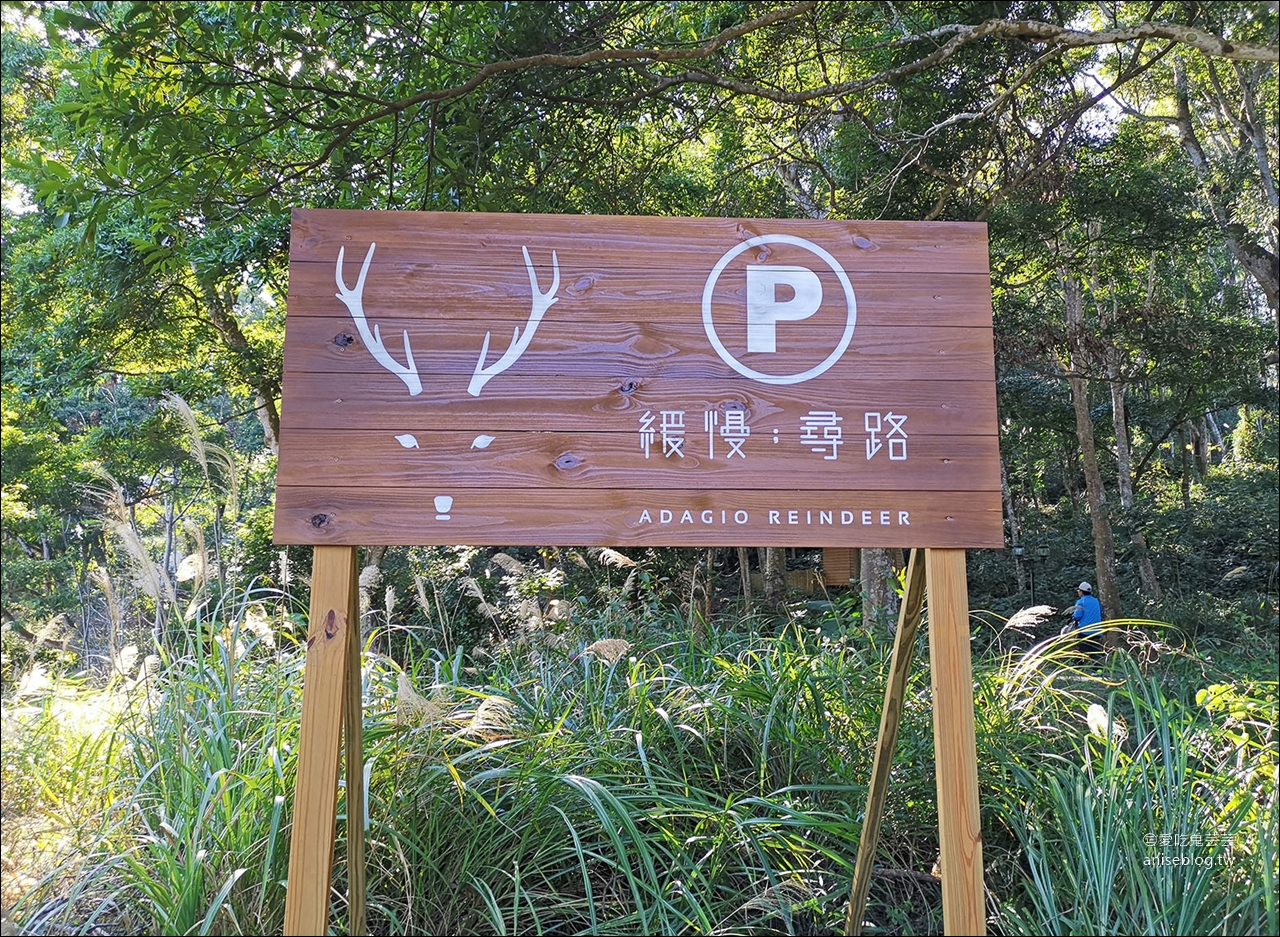 緩慢尋路 | 三義綠波浪，森林裡的純白小屋