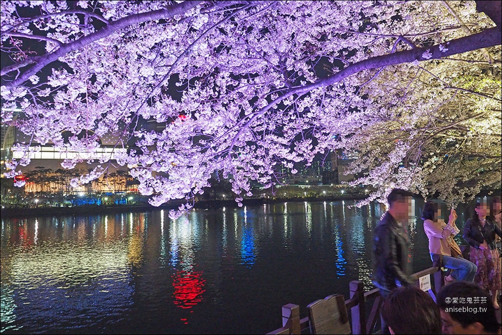 首爾櫻花景點 | 石村湖、汝矣島、首爾林