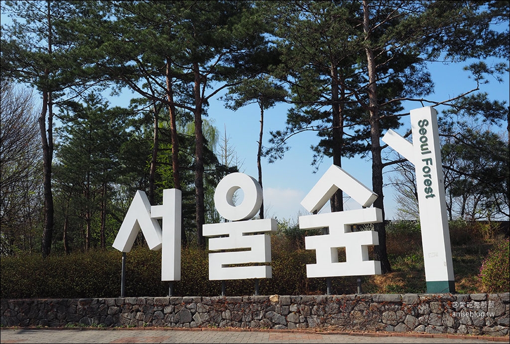 首爾櫻花景點 | 石村湖、汝矣島、首爾林