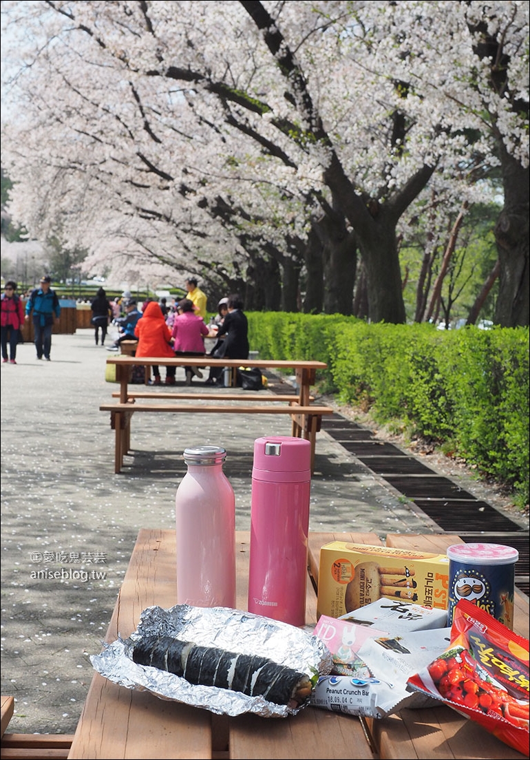 首爾賞櫻一日遊：夢想森林、首爾大公園、賽馬公園