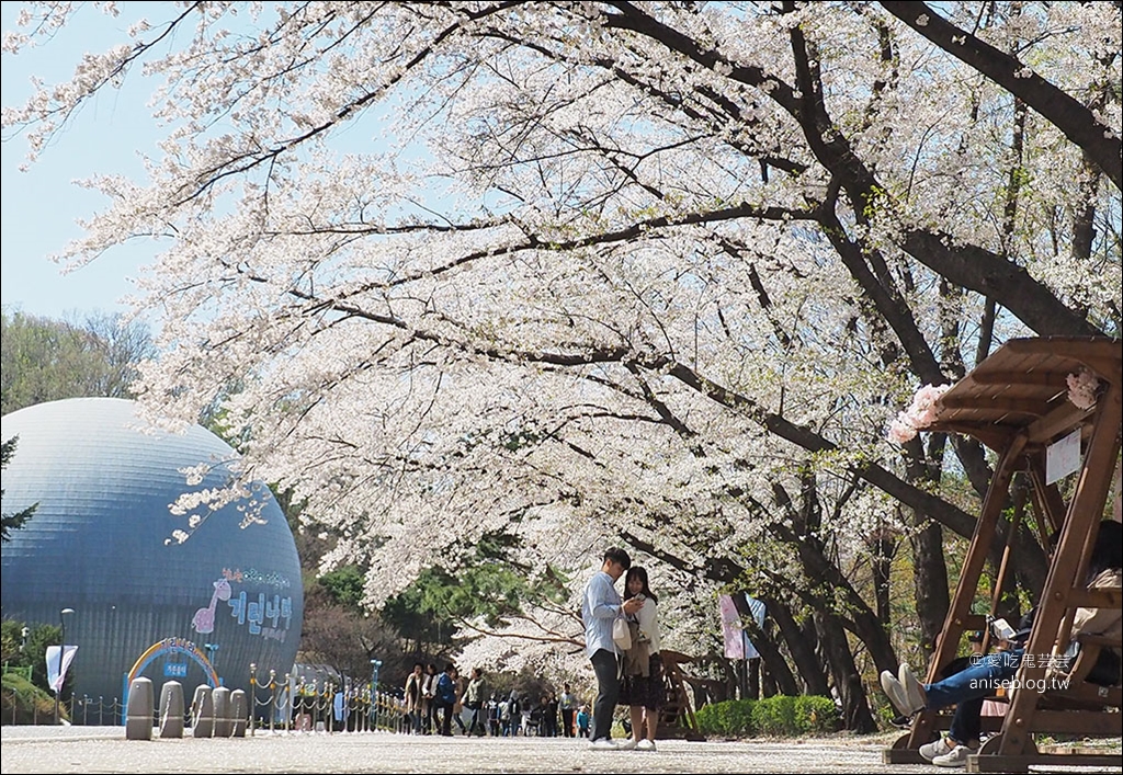 首爾賞櫻一日遊：夢想森林、首爾大公園、賽馬公園