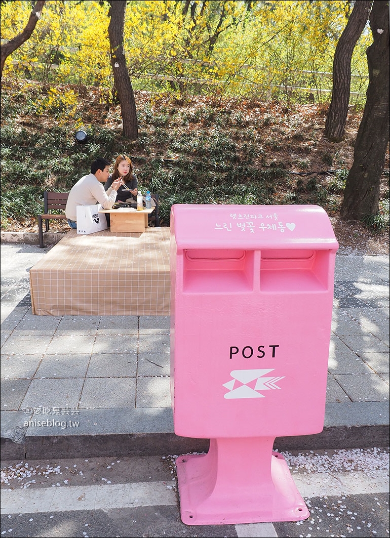 首爾賞櫻一日遊：夢想森林、首爾大公園、賽馬公園