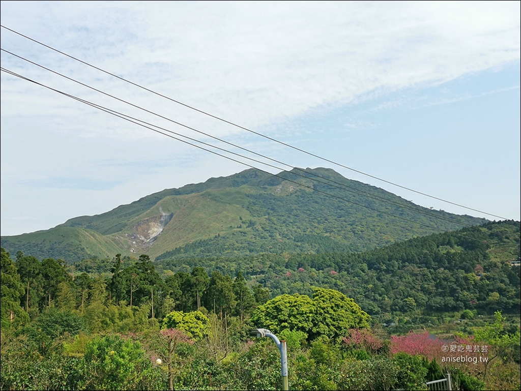 青菜園，陽明山超人氣野菜熱炒放山雞