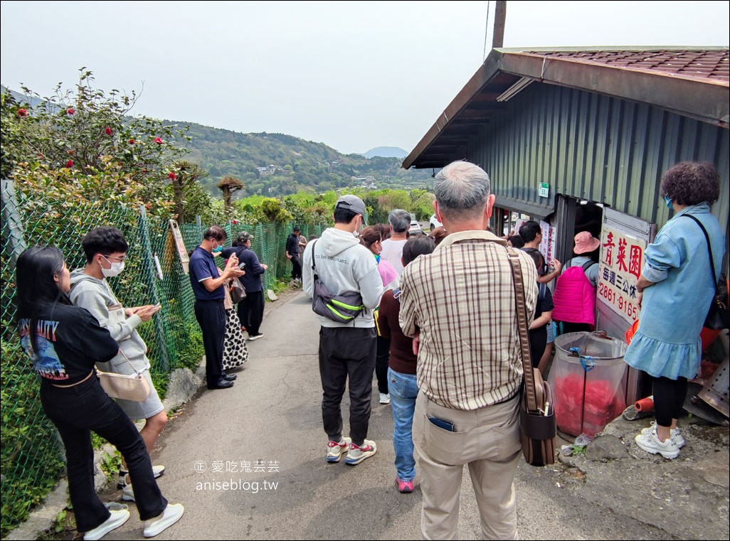 青菜園，陽明山超人氣野菜熱炒放山雞