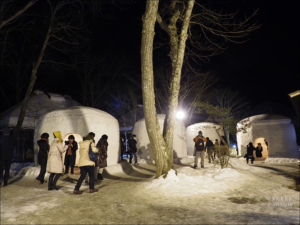 北關東 | 冬季賞梅、採草莓、釣魚、美食滑雪行程5天4夜總整理@茨城 x 櫪木 x 群馬 (圖多)