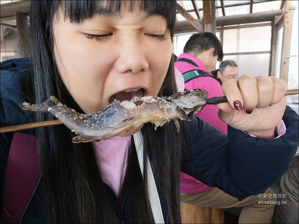 北關東 | 冬季賞梅、採草莓、釣魚、美食滑雪行程5天4夜總整理@茨城 x 櫪木 x 群馬 (圖多)